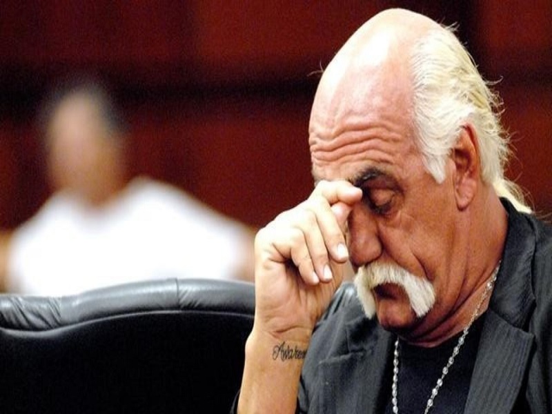 hulk hogan on being in pains